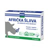 Afrička šljiva