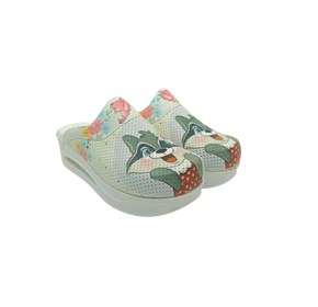 Anatomske klompe Dr. Mitra Rakun