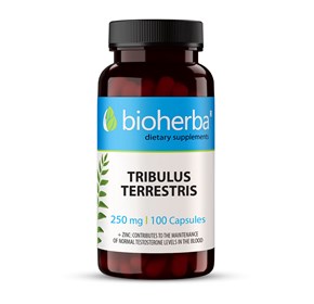 Bioherba Tribulus terrestris