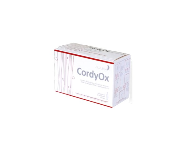 Cordyox dodatak prehrani na bazi gljive Codryceps