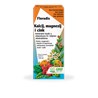 Dietpharm Floradix kalcij magnezij cink 250ml