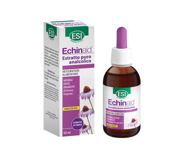 Esi Echinaid kapi
