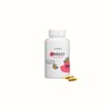 Hedera Apicet a60