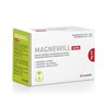 Magnewill Rapid