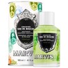 Marvis vodica za usta strong mint