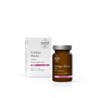 Master of Pharmacy Ginkgo Biloba