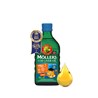 Mollers Omega 3 tutti frutti