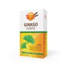 Natural Wealth Ginkgo forte