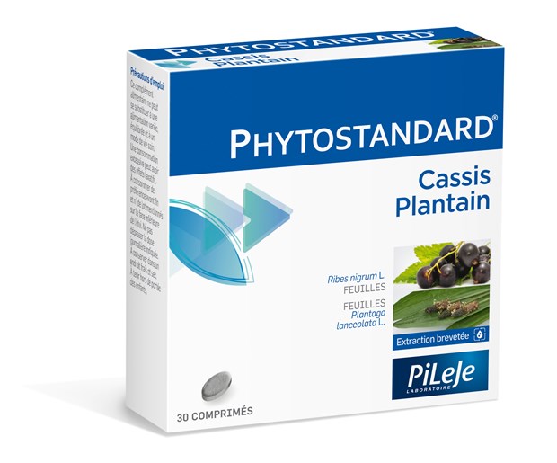 Phytostandard crni ribiz trputac Pileje