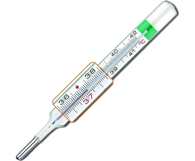 PiC galijev termometar VedoEco Plus