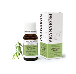 Pranarom eterično ulje eukaliptus radiata 10ml