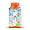 Salvit MultiV