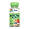 Solaray Red marine algae