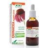Soria ehinacea XXL kompleks