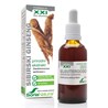 Soria sibirski ginseng XXL ekstrakt