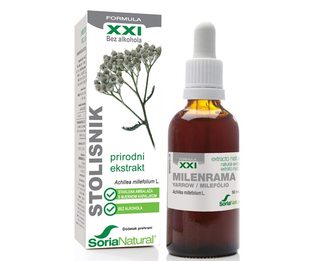 Soria stolisnik XXL ekstrakt