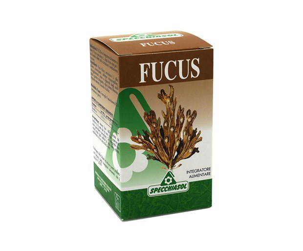 Specchiasol alga fucus