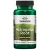 Swanson Astragalus korijen
